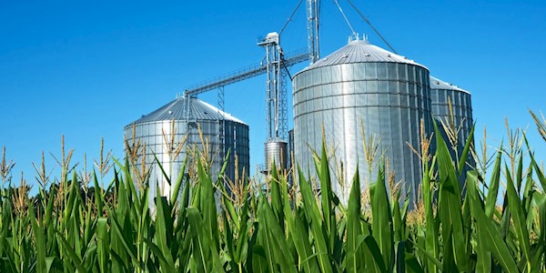 Field to Fork Winter 2021